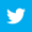 Twitter -bird -white -on -blue