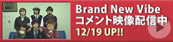 Brand New Vibe　comment