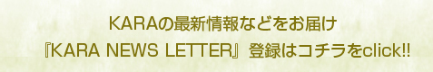 Kara -banner