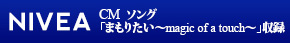 Nivea _bnr